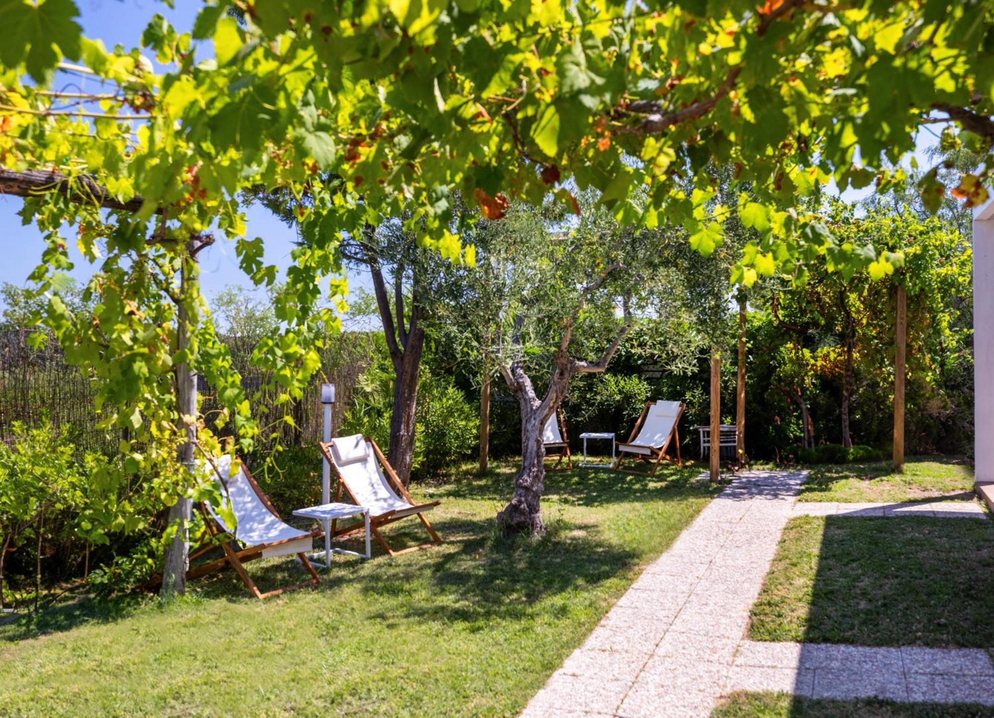 Aria Di Mare Vieste - Luxury Apartments By The Sea エクステリア 写真